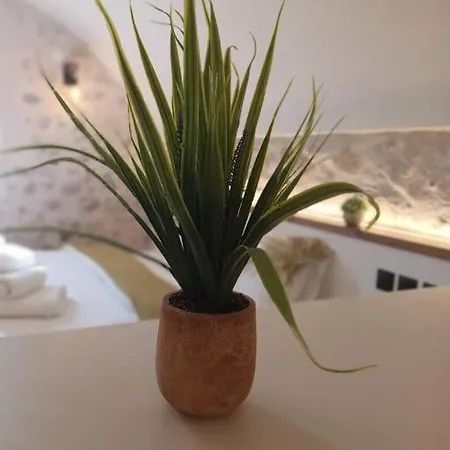 Tsolakis Luxury House 2 Апартаменты Леонидион