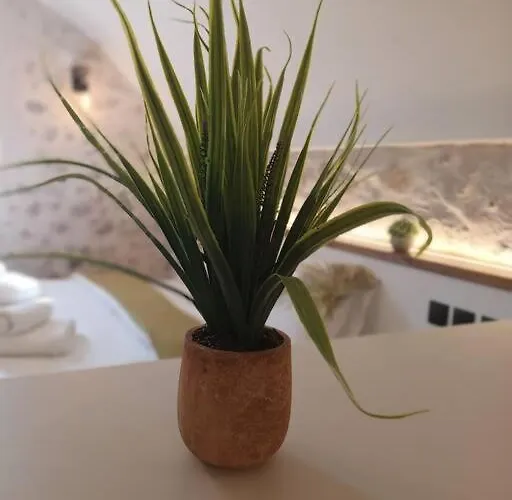 Tsolakis Luxury House 2 Apartamento Leonídion