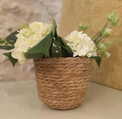 Tsolakis Luxury House 2 Apartamento